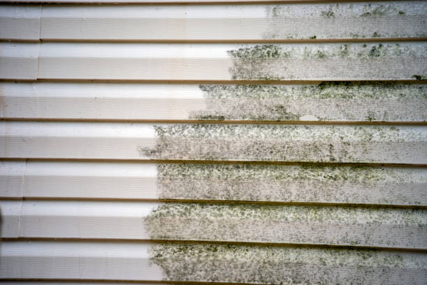Best Hoarding Cleanup  in Clarkton, MO
