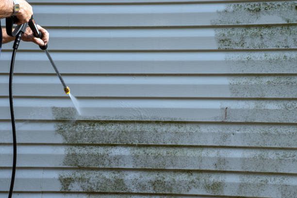 Best Shed Removal  in Clarkton, MO